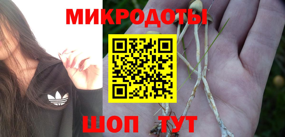 Трёхгорный  Галлюциногенные грибы Cubensis  Вход с VPN  Псилоцибиновые грибы Psilocybe 